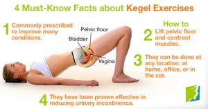 Kegel Exercise Diagram - How to do Kegel Exercises